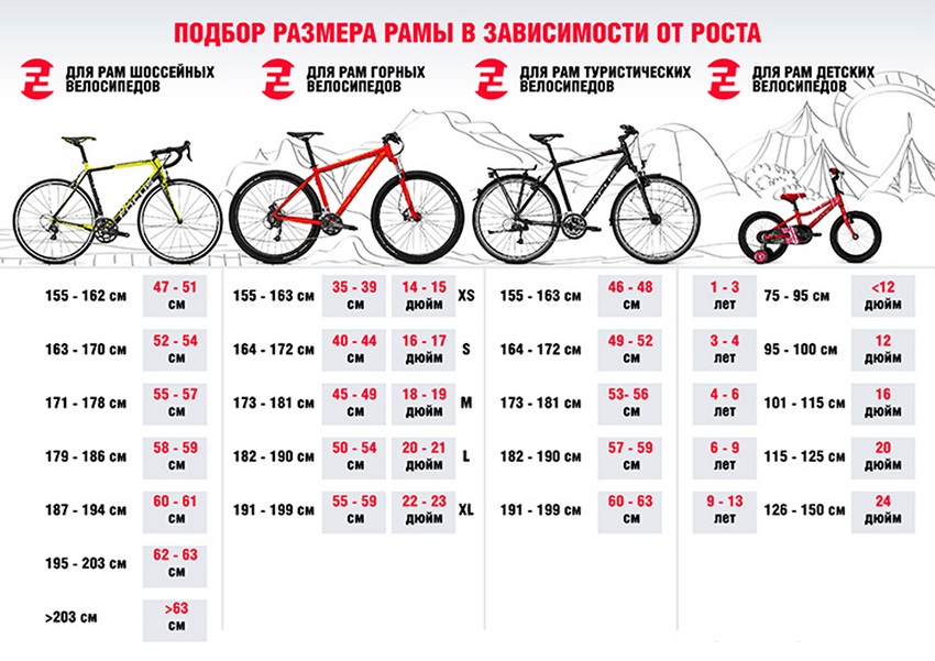 Как выбрать размер рамы велосипеда