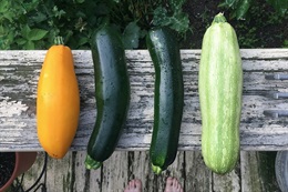 Продажа сельхозпродукции
