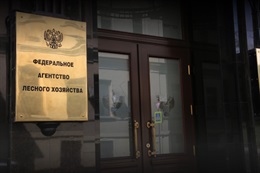 Учёт древесины